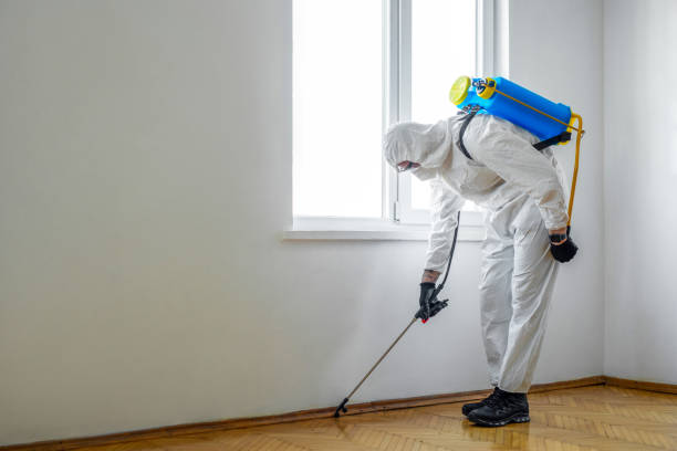 Best Pest Prevention Services  in Chester, MD